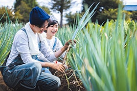 旬の岩津ねぎ収穫体験と但馬牛本丸御膳とご堪能!1